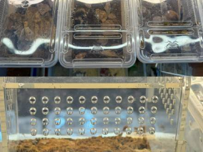 揭秘网络爬虫市场：非法饲养现状调查