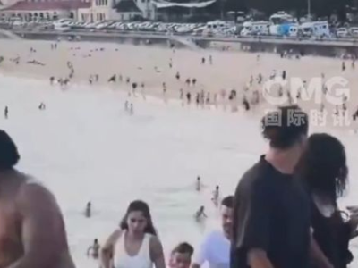 “澳大利亚海滩枪击悲剧：16死震惊世界”