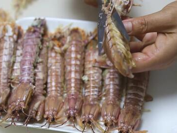 虾扒皮瞬间，小脑萎缩的惊悚体验