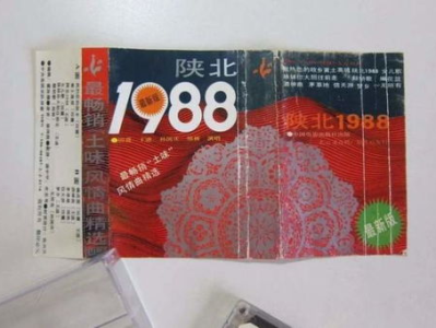 田震全网寻找01年保留票根的歌迷