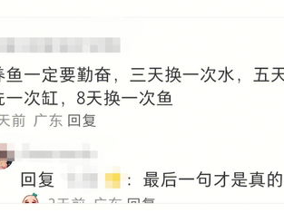 删了吧我有个单身的朋友破防了