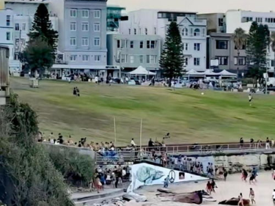 “澳洲枪击案惊悚瞬间：枪手被击毙画面首次曝光”